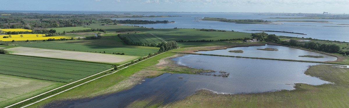 Luftfoto af et vådområdeprojekt