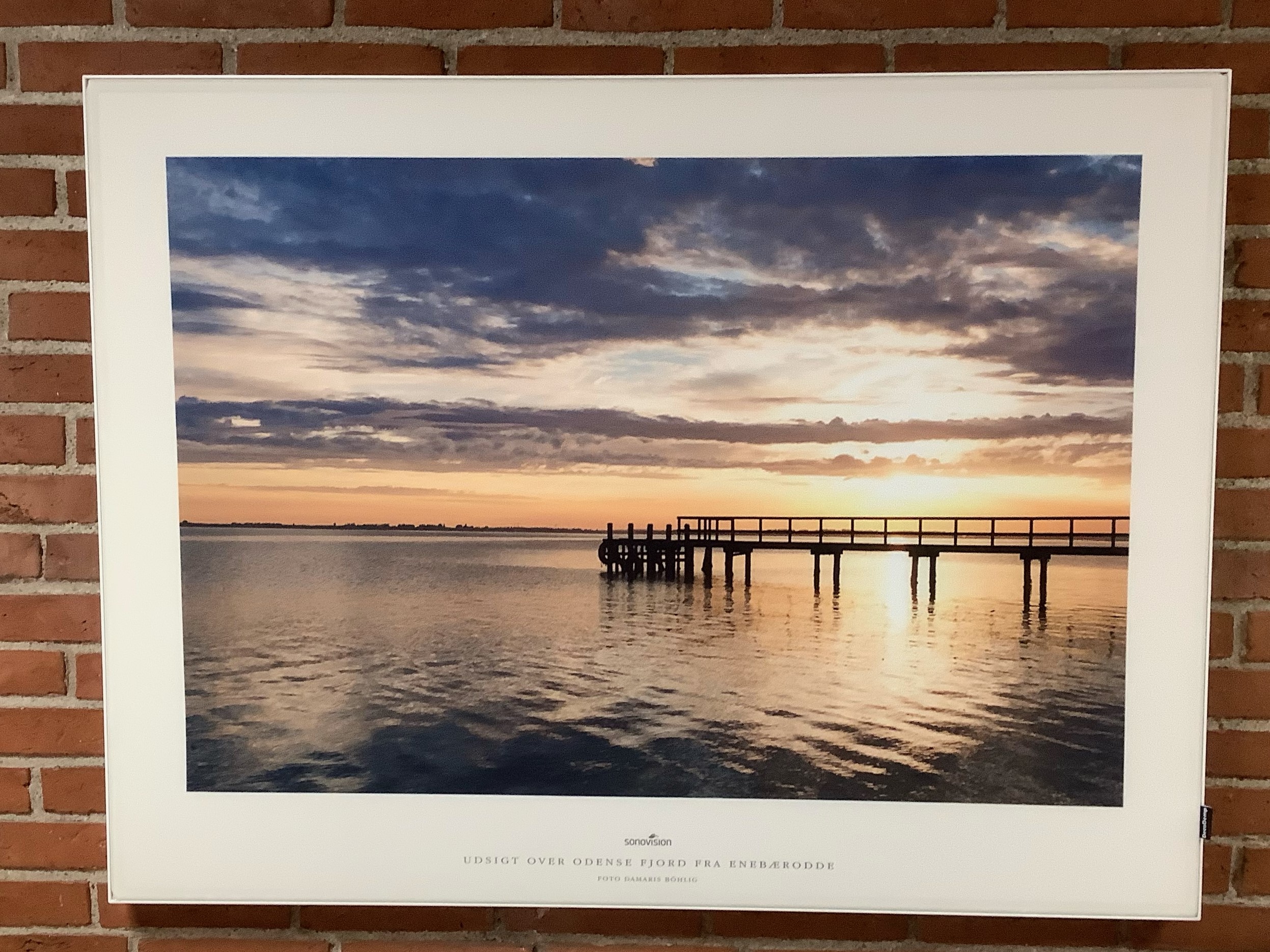 ”Udsigt over Odense Fjord fra Enebærodde” 