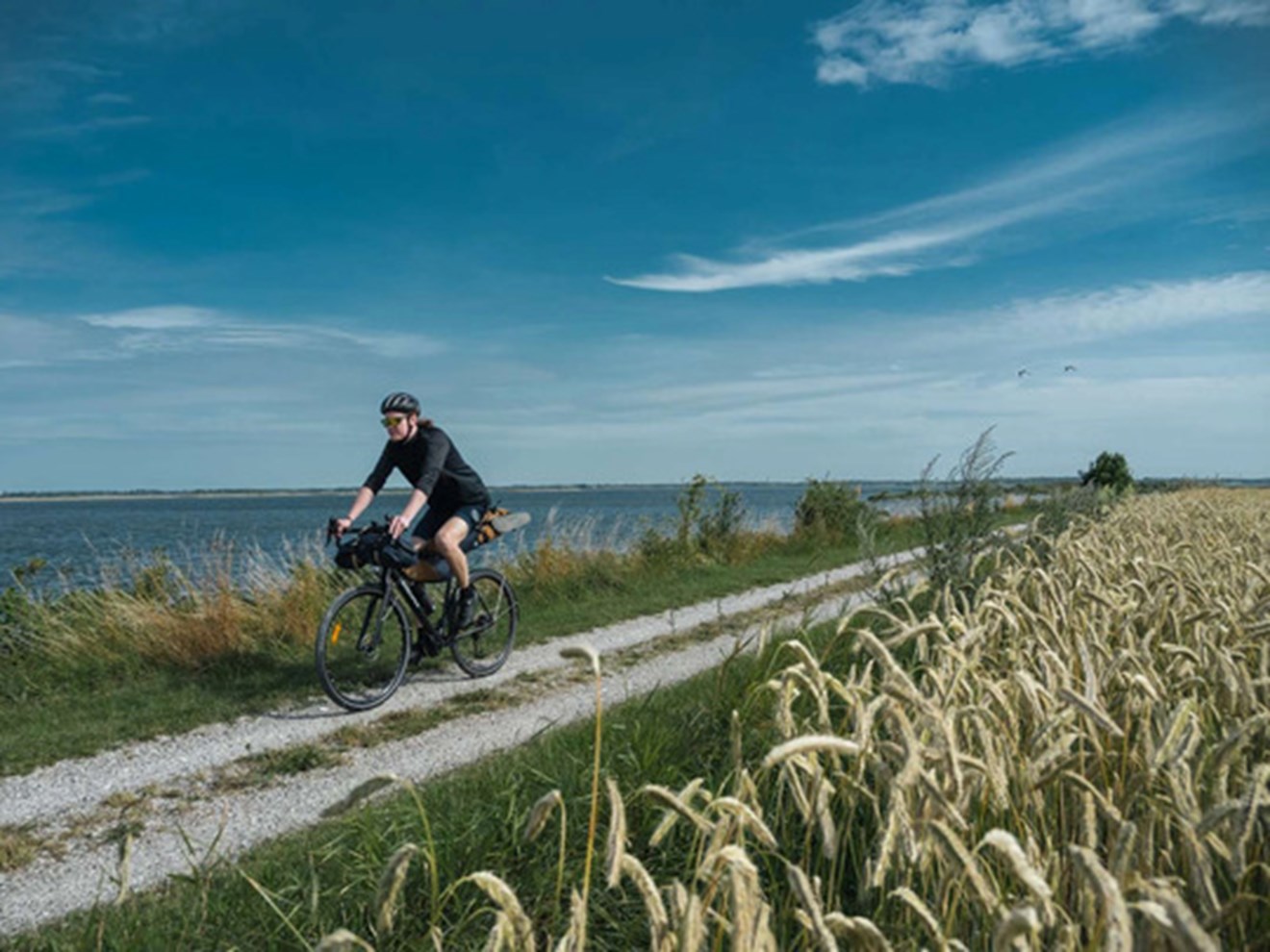 dvphoto.dk-7092337-1600px.jpg
