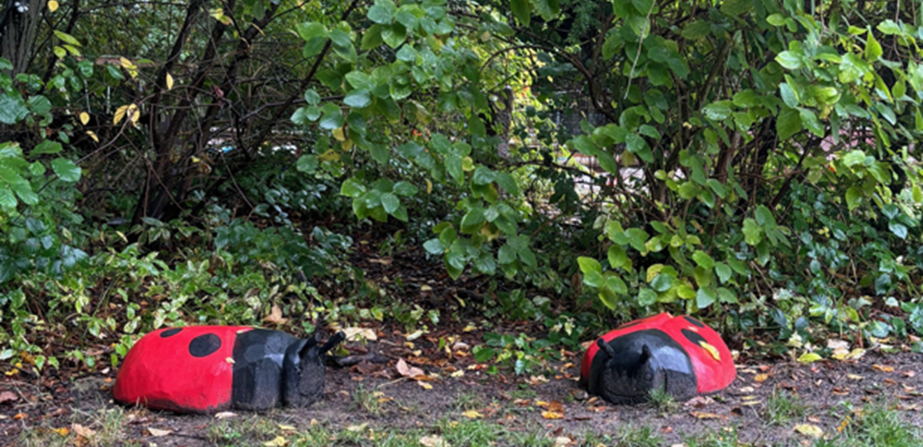 Træskulpturer af mariehøns